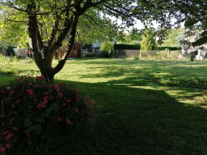 Photo de galerie - Tonte de pelouse - Débroussaillage