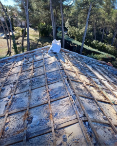 Photo de galerie - Couverture - Toiture