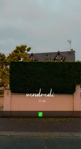 Photo de galerie - Chantier effectués d’une taille de haie de thuya 