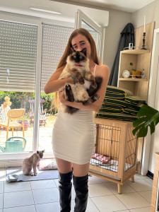 Photo de galerie - Garde chat