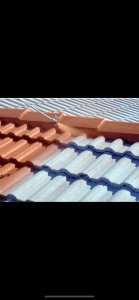 Photo de galerie - Peinture - Tapisserie