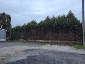 Photo de galerie - Haie parking pro 2