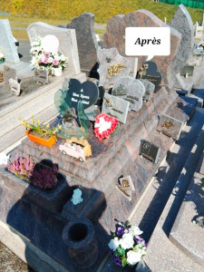 Photo de galerie - Préparation - nettoyage de salle