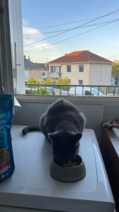 Photo de galerie - Garde 8 jours 