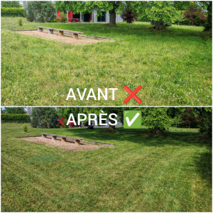 Photo de galerie - Tonte de pelouse 2000m2 