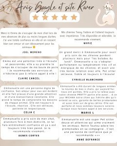 Photo de galerie - Les avis clients Google et Rover 