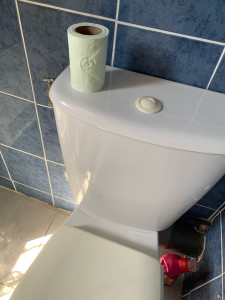 Photo de galerie - Remise en état d’un wc 