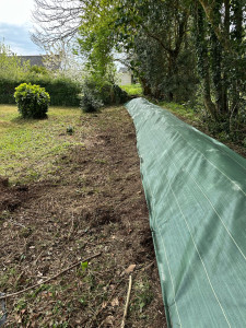Photo de galerie - Paysagiste - Aménagement du jardin