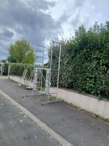 Photo de galerie - Taille de haie 