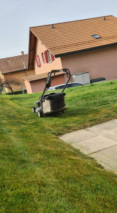 Photo de galerie - Coupe de gazon et enlever les mauvaises herbes 