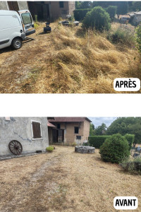 Photo de galerie - Débroussaillage 