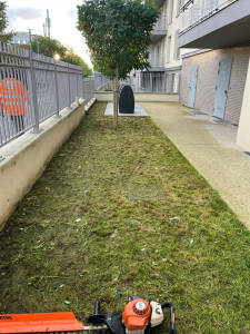 Photo de galerie - Tonte de pelouse 