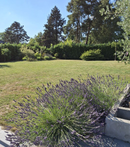Photo de galerie - Tonte