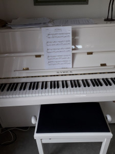 Photo de galerie - Cours de piano et/ou solfège  débutant, enfants, adultes ..