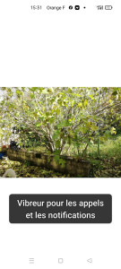 Photo de galerie - Jardinier