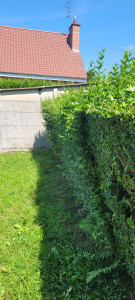 Photo de galerie - Taille de haie debrousailleuse tonte de pelouse