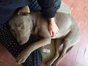 Photo de galerie - Moments avec Maia