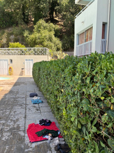 Photo de galerie - Haie de pytos