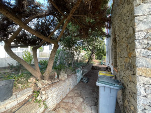 Photo de galerie - Le jardin après nettoyage et tailles 