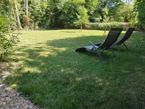 Photo de galerie - Entretien de jardin et terrain 