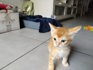 Photo de galerie - Bonn réception 


montage
