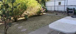 Photo de galerie - Jardin après débroussaillage 