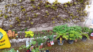 Photo de galerie - Paysagiste - Aménagement du jardin