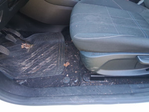 Photo de galerie - Lavage auto
