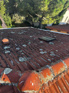 Photo de galerie - Avant 