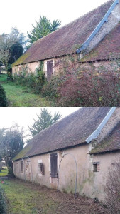 Photo de galerie - Défrichage bord de maison 