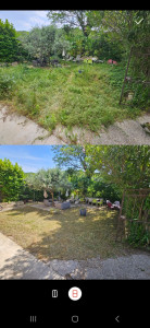 Photo de galerie - Entretien de jardin