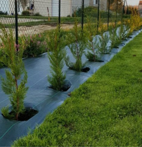 Photo de galerie - Paysagiste - Aménagement du jardin