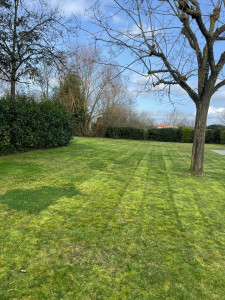 Photo de galerie - Tonte de pelouse 