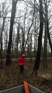 Photo de galerie - Abattage directionnel