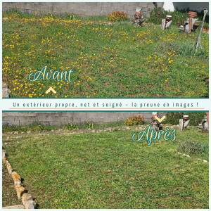 Photo de galerie - Tonte de pelouse