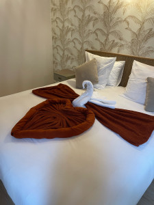 Photo de galerie - Lingerie - Repassage