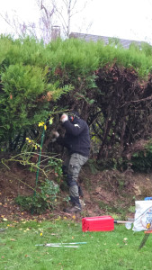 Photo de galerie - Jardinier