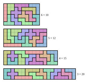 Photo de galerie - Puzzle de pentaminos