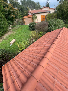 Photo de galerie - Nettoyage toiture + imperméabilisant