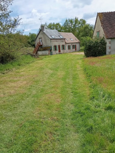 Photo de galerie - Tonte de pelouse - Débroussaillage