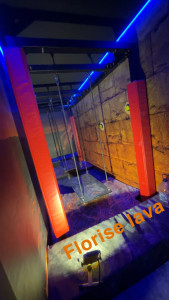 Photo de galerie - Montage d’une structure puis pose d’un plancher avec chevrons 