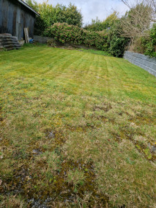 Photo de galerie - Tonte sur Laz 