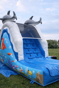 Photo de galerie - Jeu gonflable / Structure gonflable