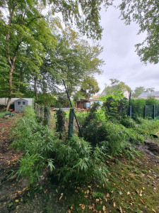 Photo de galerie - Clôture Grillage