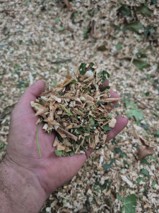 Photo de galerie - Broyage de branche pour massif 