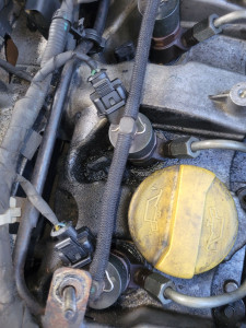 Photo de galerie - Révision 