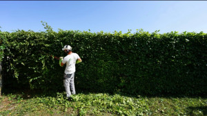 Photo de galerie - .