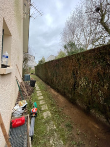 Photo de galerie - Taille après 