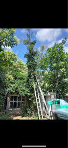 Photo de galerie - Voici un avan-après 