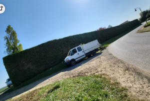 Photo de galerie - Taille de haie avec Évacuation des déchets 